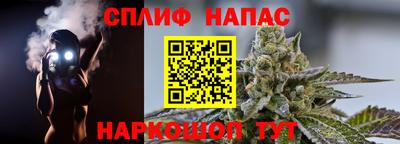 кокс Кингисепп