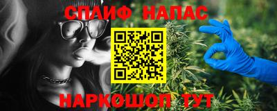 кокс Кингисепп