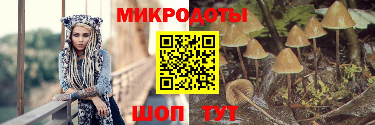 Красноармейск  как найти наркотики  Вход с VPN  Псилоцибиновые грибы MAGIC MUSHROOMS 